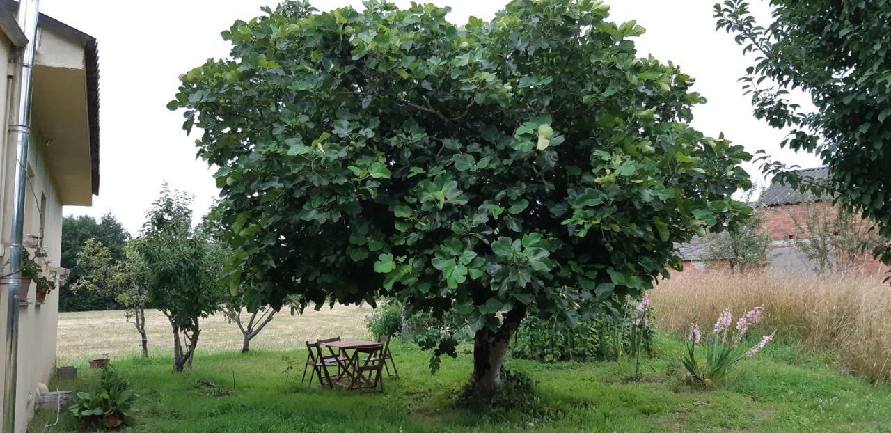 TaboyLa Casa Del Tio Antonio别墅 外观 照片